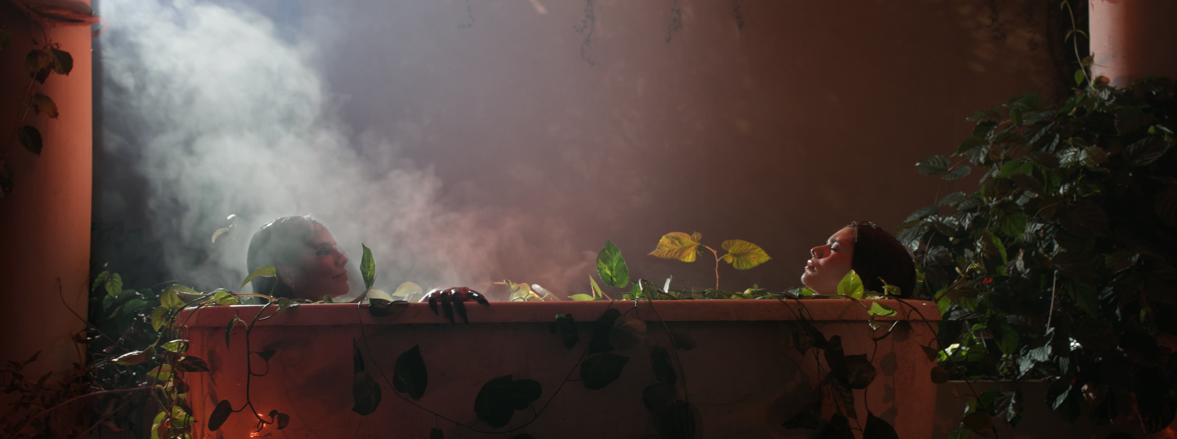 Cobra Queima — frame 10