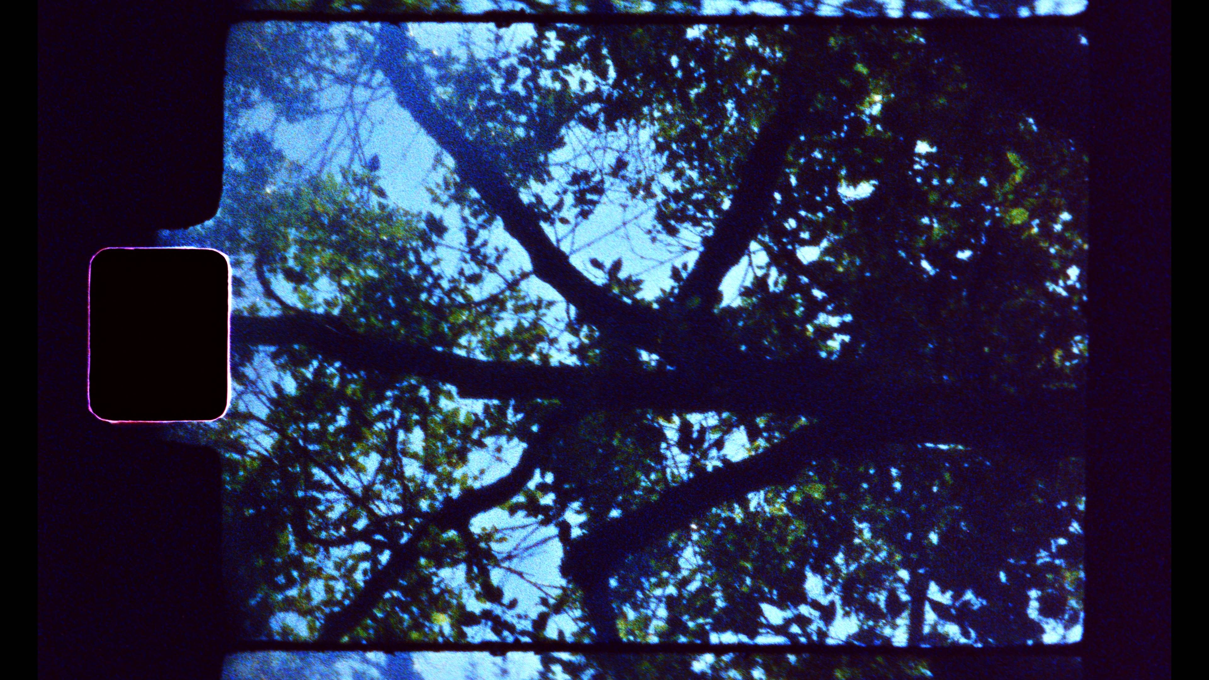 Sabe, amor - Super 8 Fotograma 1