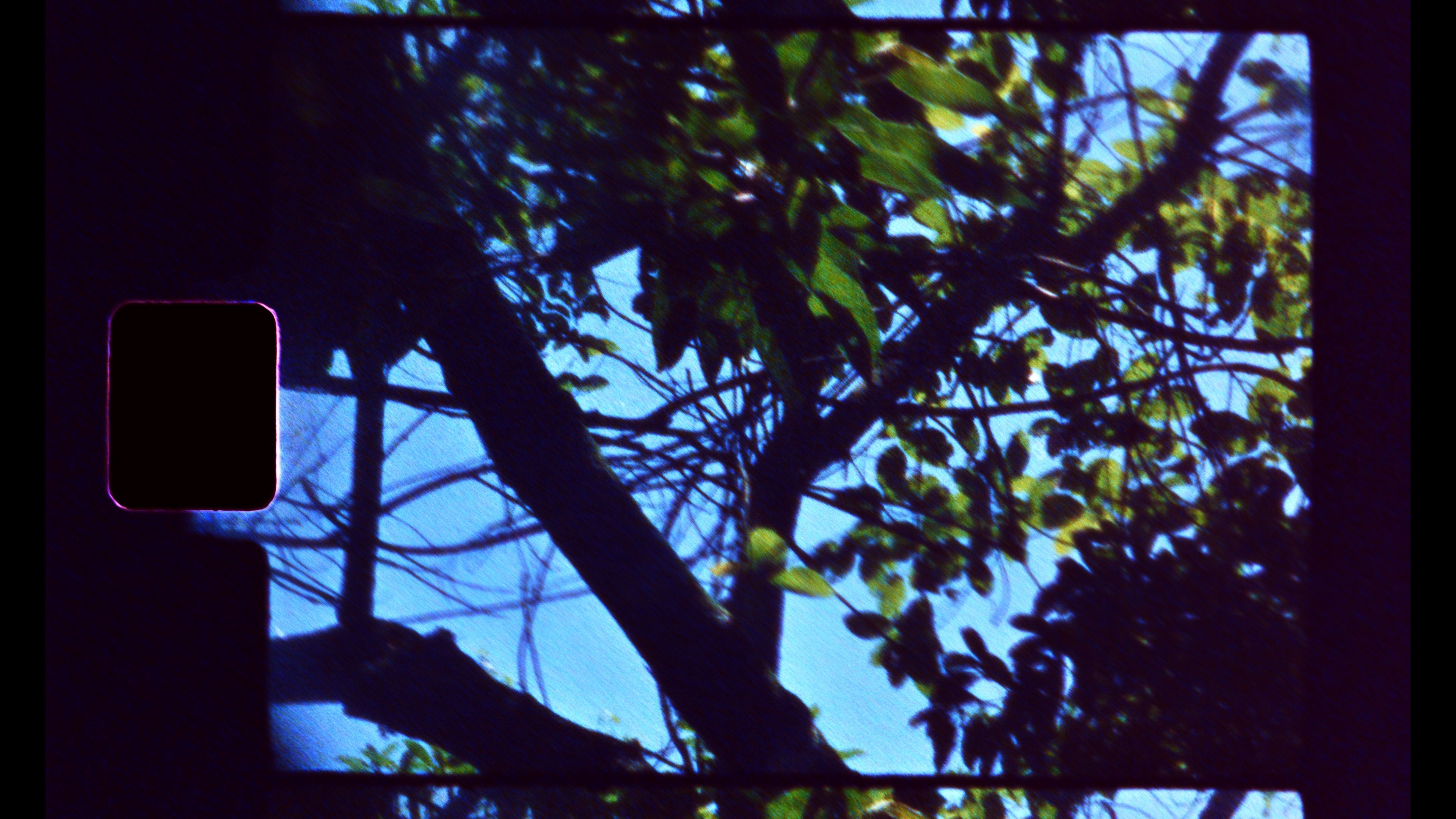 Sabe, amor - Super 8 Fotograma 2